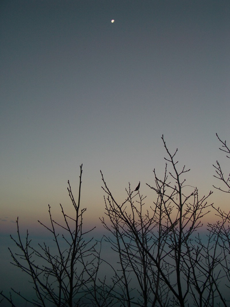 20060120005.JPG