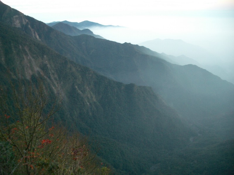 20060120008.JPG