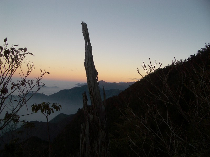 20060120009.JPG