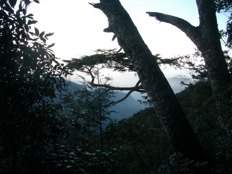 20060120021.JPG