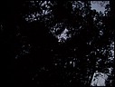 20060120004.JPG