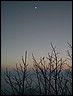 20060120005.JPG