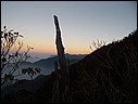 20060120009.JPG